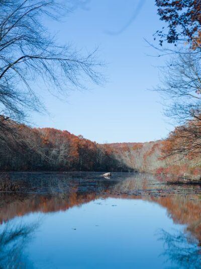 Oswegatchie Hills Nature Preserve - Niantic, CT