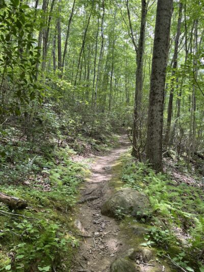 Oswegatchie Hills Nature Preserve - Niantic, CT