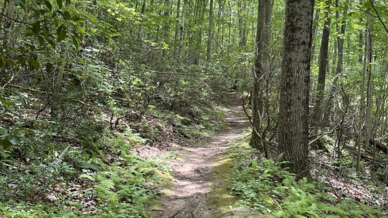 Oswegatchie Hills Nature Preserve - Niantic, CT