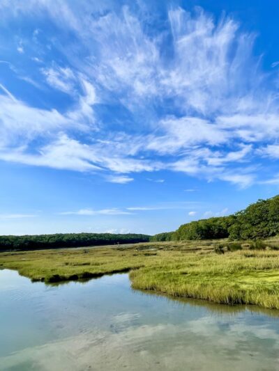 Rocky Neck State Park - Niantic, CT