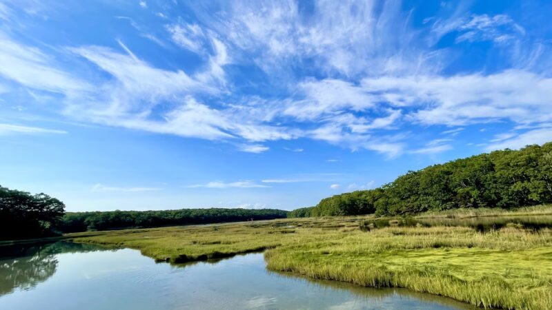 Rocky Neck State Park - Niantic, CT