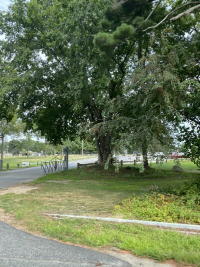 Samuel M. Peretz Park - Niantic, CT