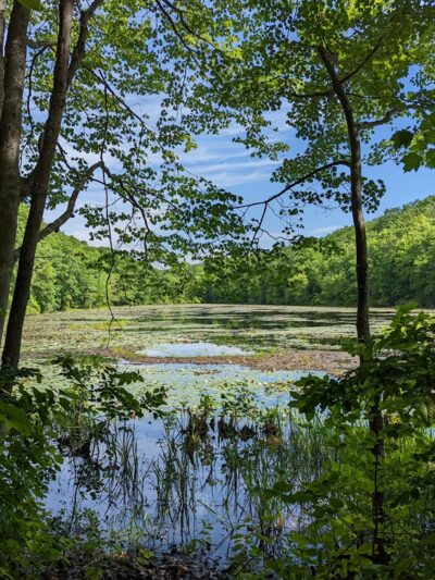Veterans Memorial Field - Niantic, CT