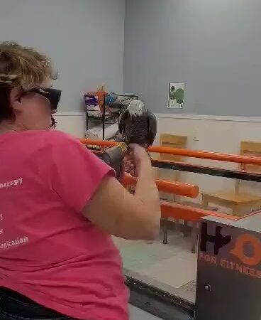 Pet Wellness & Therapy - Niantic, CT