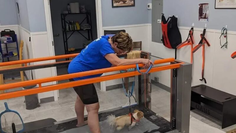 Pet Wellness & Therapy - Niantic, CT