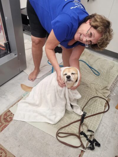 Pet Wellness & Therapy - Niantic, CT