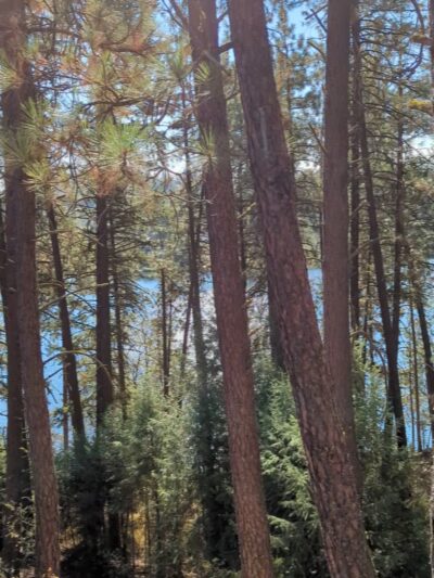 Deep Creek Trailhead - Nine Mile Falls, WA