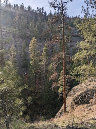 Deep Creek Trailhead - Nine Mile Falls, WA