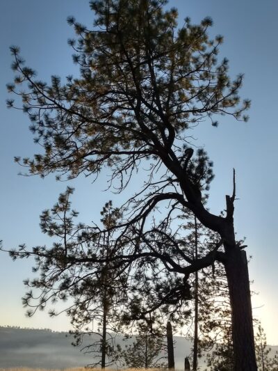 Eagle Bluff Park - Nine Mile Falls, WA