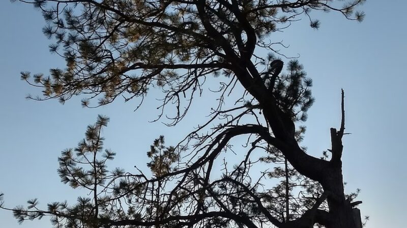 Eagle Bluff Park - Nine Mile Falls, WA