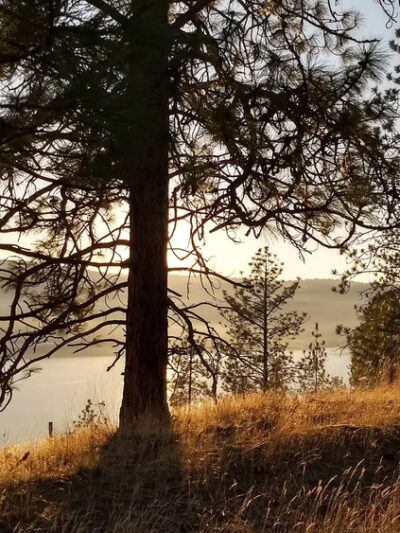 Eagle Bluff Park - Nine Mile Falls, WA
