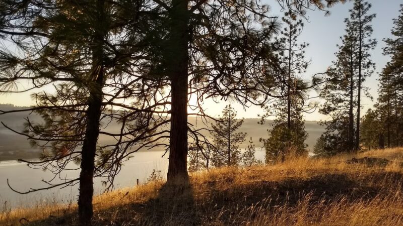 Eagle Bluff Park - Nine Mile Falls, WA