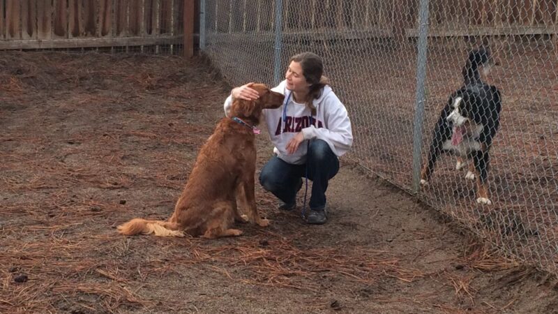 Nine Mile Pet Lodge - Nine Mile Falls, WA