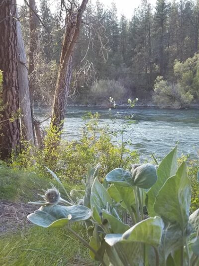 Seven Mile Trailhead - Nine Mile Falls, WA