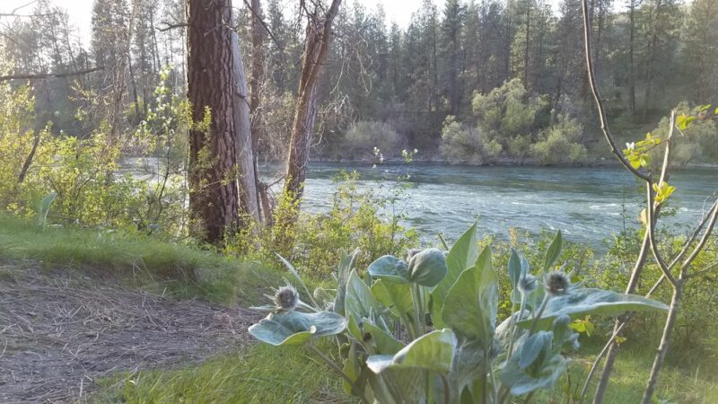 Seven Mile Trailhead - Nine Mile Falls, WA