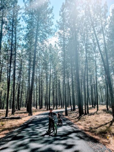 Sontag Day Use Area - Nine Mile Falls, WA