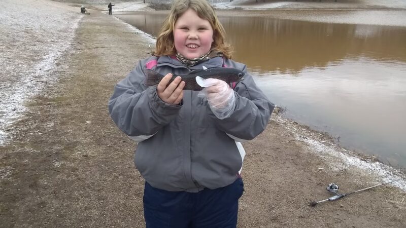 Ridenour Playground Structure - Nitro, WV