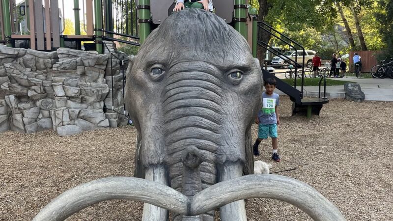 Niwot Children's Park - Niwot, CO