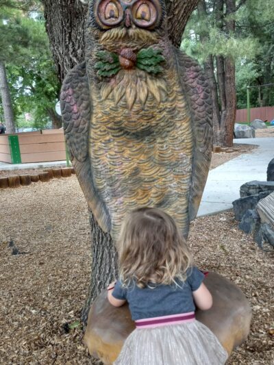 Niwot Children's Park - Niwot, CO