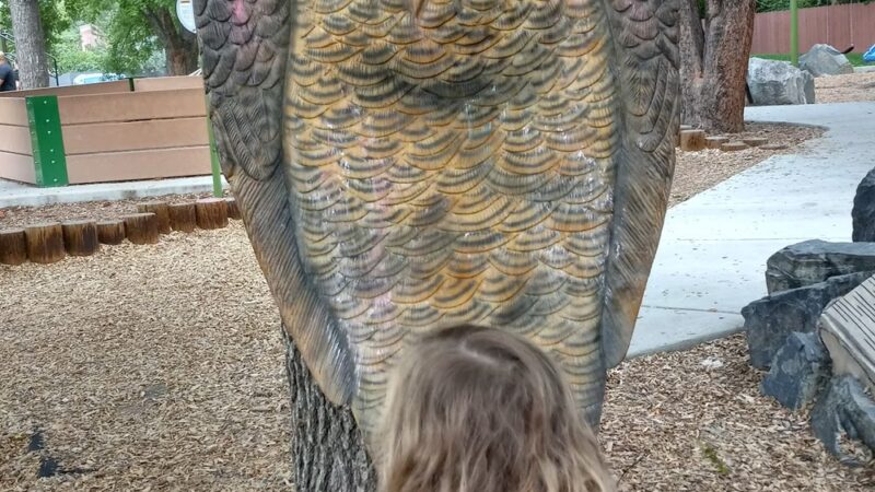 Niwot Children's Park - Niwot, CO