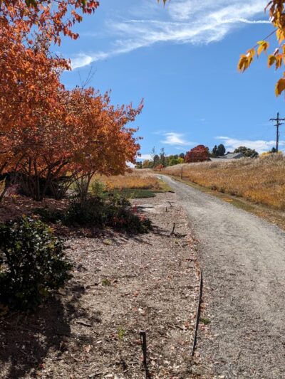 Niwot Loop Trail Trailhead - Niwot, CO