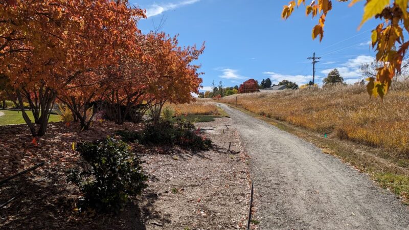 Niwot Loop Trail Trailhead - Niwot, CO