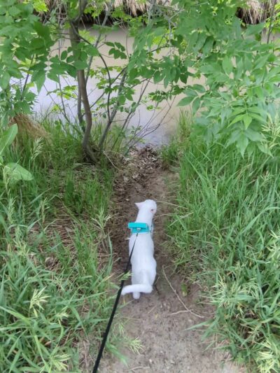 Niwot Loop Trail Trailhead - Niwot, CO