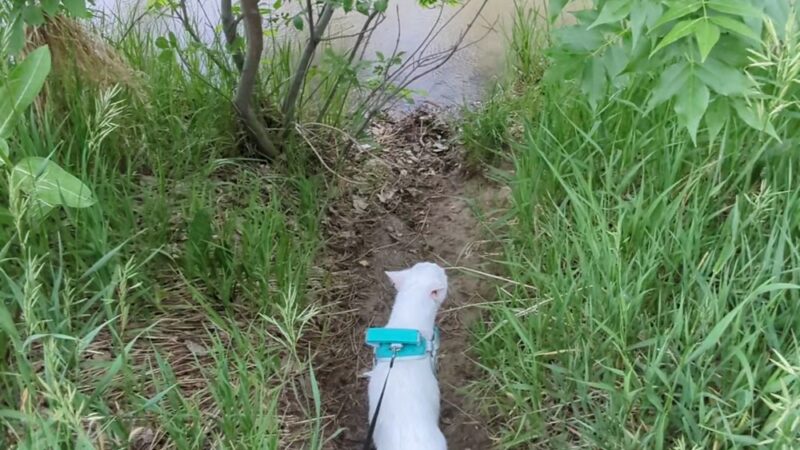 Niwot Loop Trail Trailhead - Niwot, CO