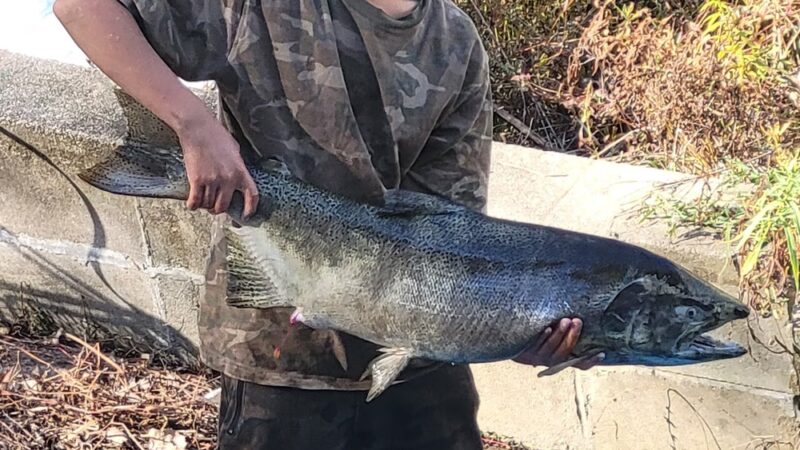 Wolf Lake - Noble Township, IN