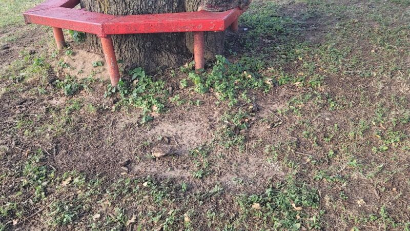 Enid Justin Park - Nocona, TX