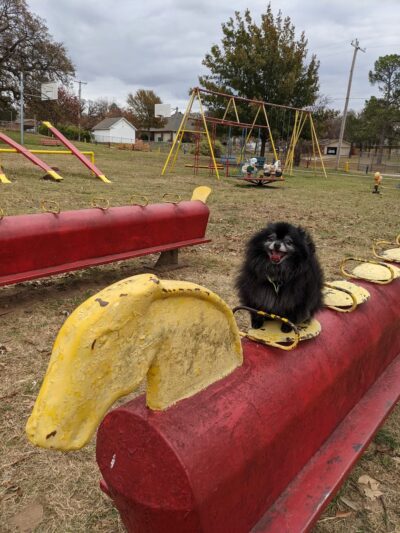Enid Justin Park - Nocona, TX
