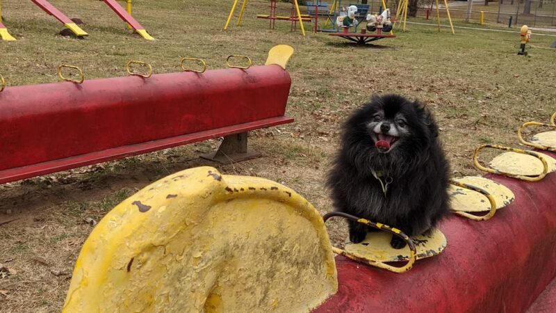 Enid Justin Park - Nocona, TX