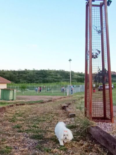 Nogales Dog Park - Nogales, AZ