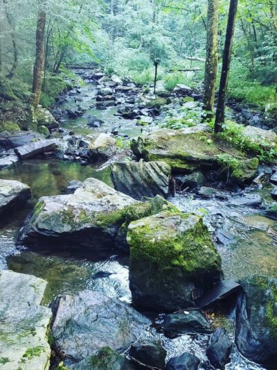 Campbells Falls Trailhead - Norfolk, CT