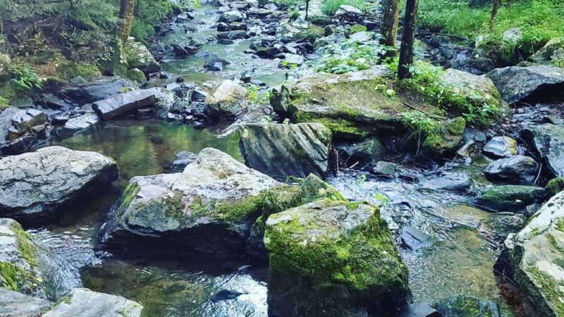 Campbells Falls Trailhead - Norfolk, CT