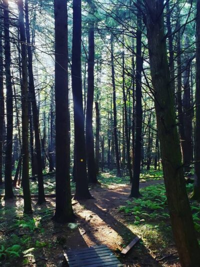 Campbells Falls Trailhead - Norfolk, CT
