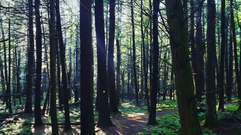 Campbells Falls Trailhead - Norfolk, CT