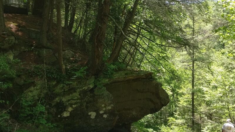 Campbells Falls Trailhead - Norfolk, CT