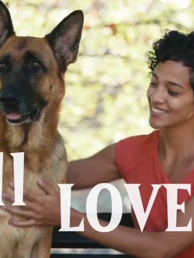 Leashrly Life - Norfolk, MA