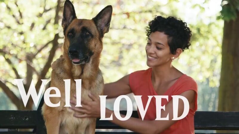 Leashrly Life - Norfolk, MA