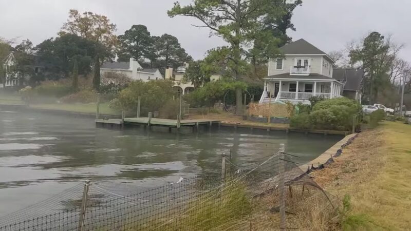 Cambridge Crescent Dog Park - Norfolk, VA