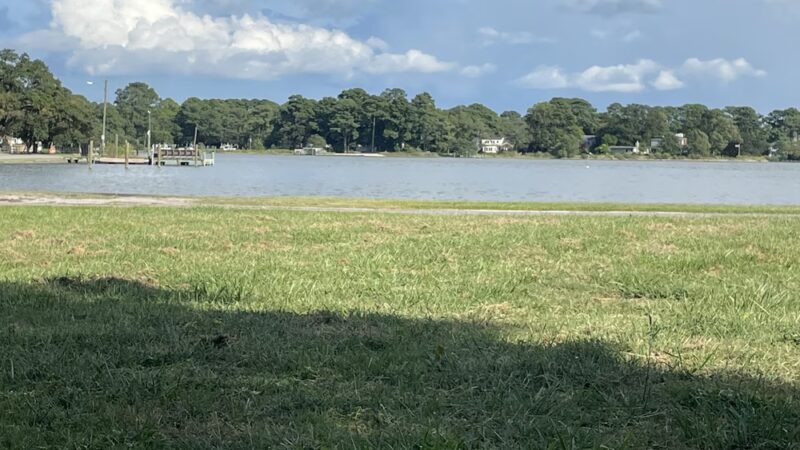 Cambridge Crescent Dog Park - Norfolk, VA