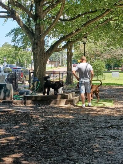 Colonial Place Dog Park - Norfolk, VA