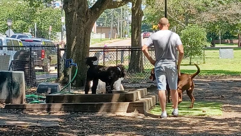 Colonial Place Dog Park - Norfolk, VA