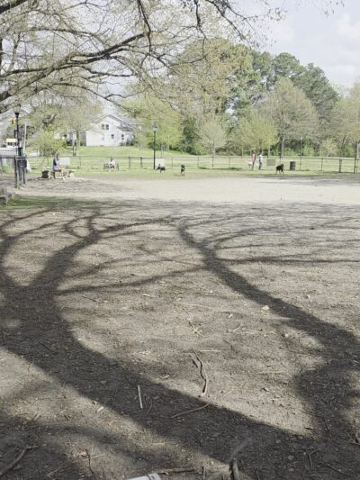 Colonial Place Dog Park - Norfolk, VA