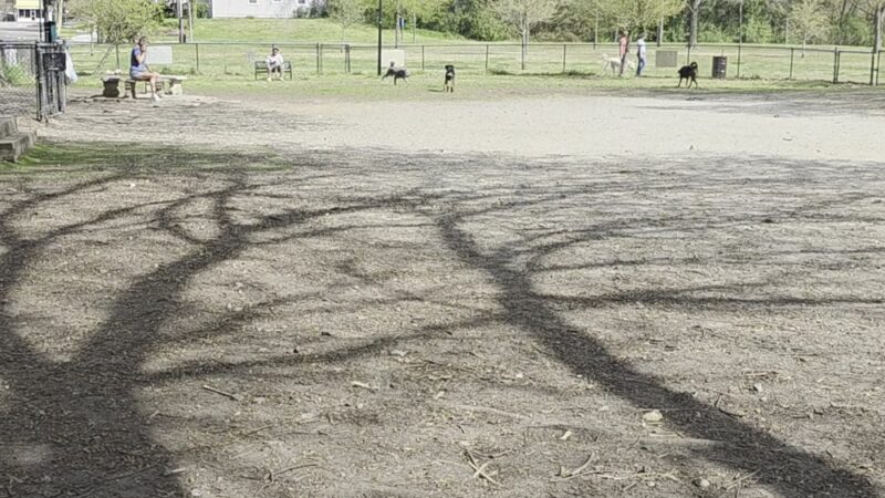 Colonial Place Dog Park - Norfolk, VA