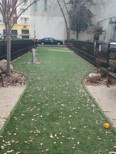 Downtown Dog Park - Norfolk, VA