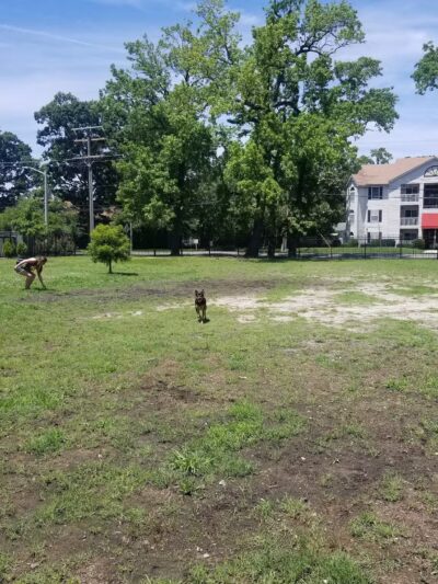 Meadowbrook Dog Park - Norfolk, VA