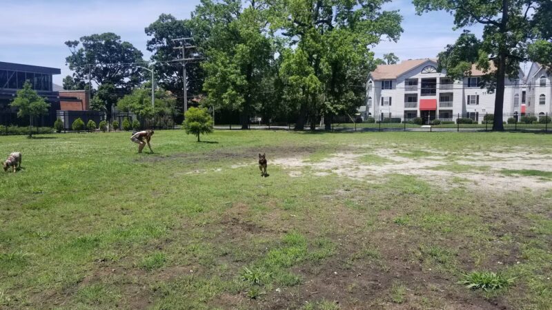 Meadowbrook Dog Park - Norfolk, VA