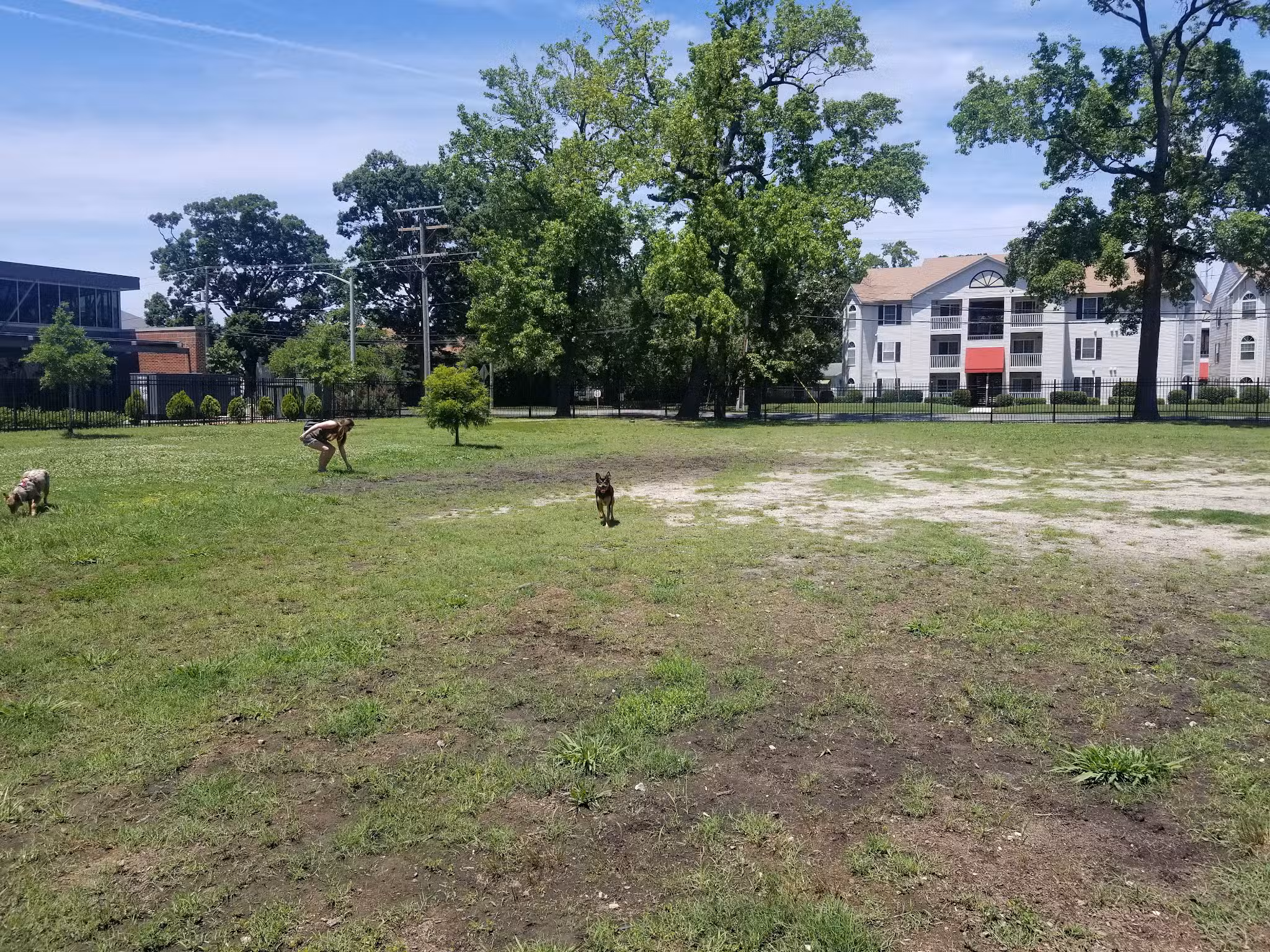Meadowbrook Dog Park - Norfolk, VA